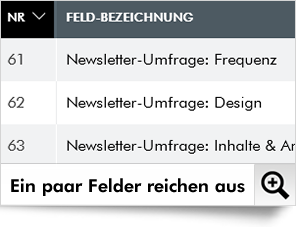 Im nächsten Schritt legen Sie einfach die Datenbank-Felder an, die Sie für die Umfrage benötigen.